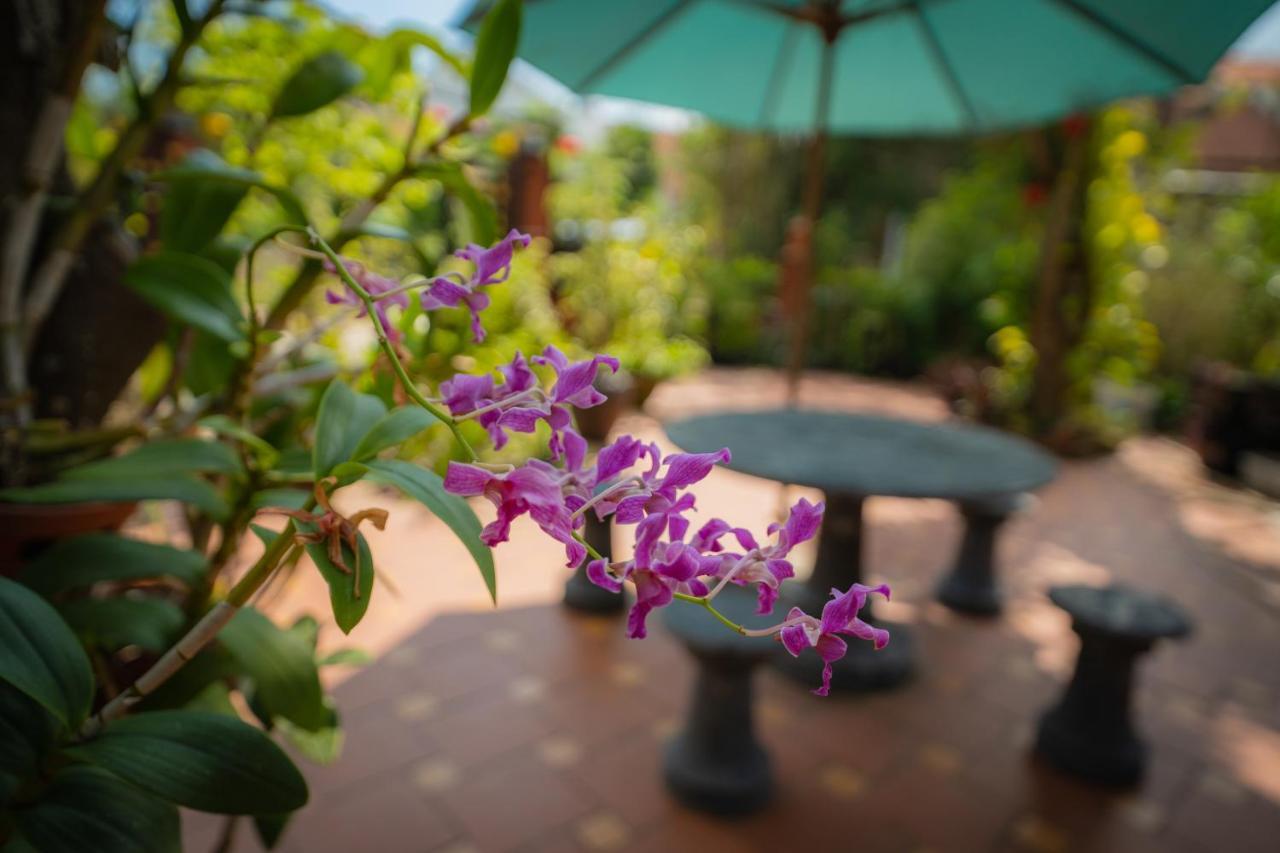 Strawberry Garden Homestay هوي ان المظهر الخارجي الصورة